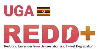 UGA REDD+
